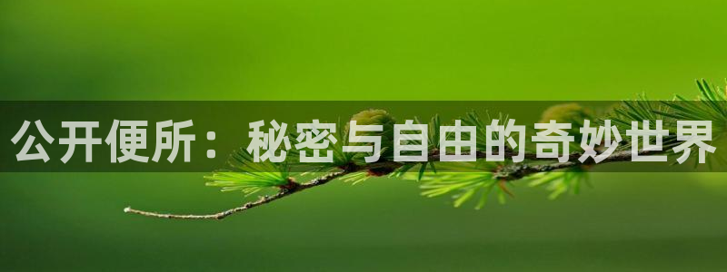 78动漫手机版