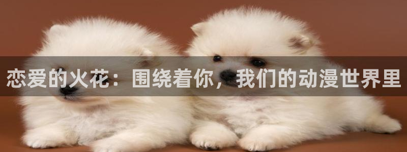 78动漫变形金刚