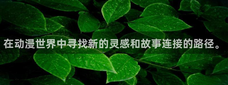 78动漫在线看