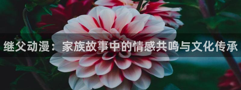 78动漫网站